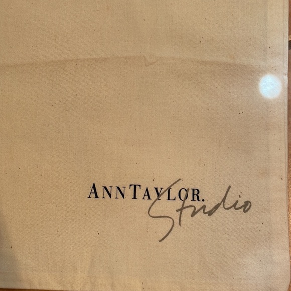 ANN TAYLOR BRAND SHOPPING BAG 9x13 - Picture 3 of 4